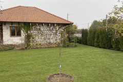 Photo-16-11-2022-12-04-20
